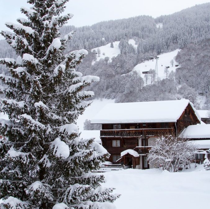 Les Vosges: une destination de montagne qui gagne a etre connue