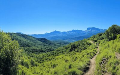 Decouvrez les meilleurs bike parks pyreneens pour vos aventures estivales